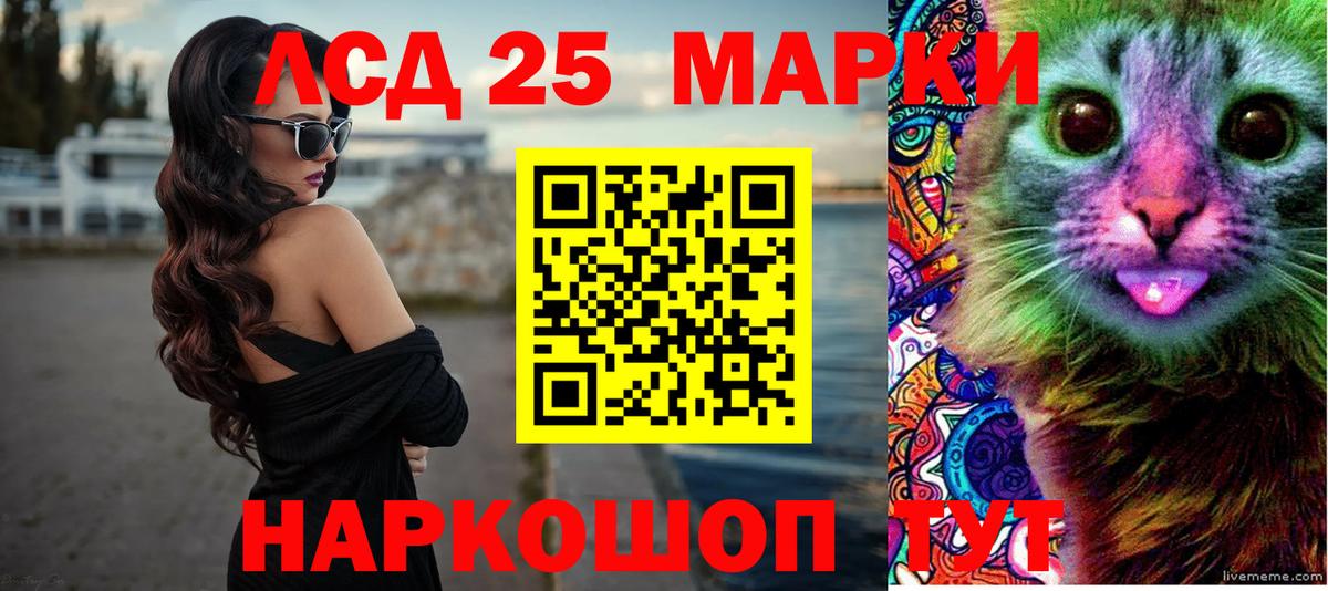 omg как войти  Вход с VPN  Карачаевск  ЛСД экстази ecstasy  ЛСД экстази 
