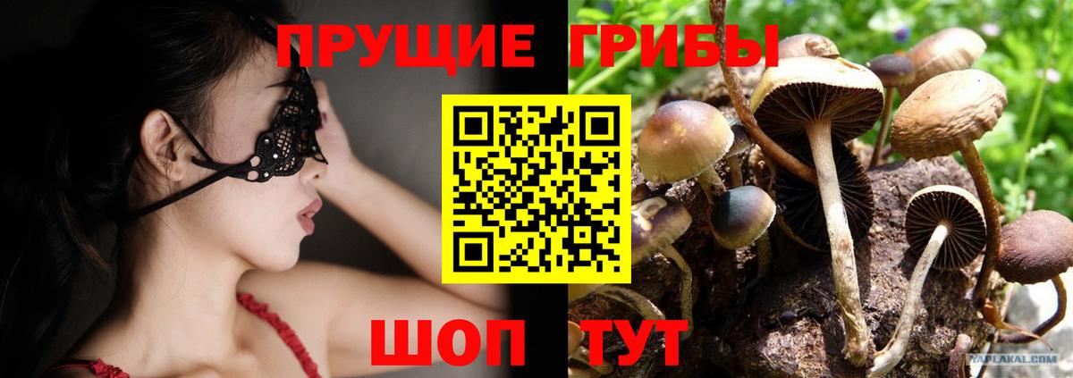 Псилоцибиновые грибы мицелий Карачаевск