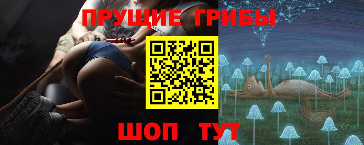 Карачаевск  Псилоцибиновые грибы мухоморы  Псилоцибиновые грибы Cubensis  Вход с VPN 