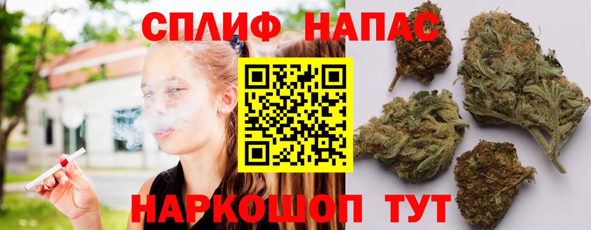 Каннабис MAZAR Карачаевск